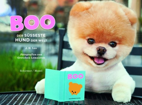 Boo - der süßeste Hund der Welt [Lee]