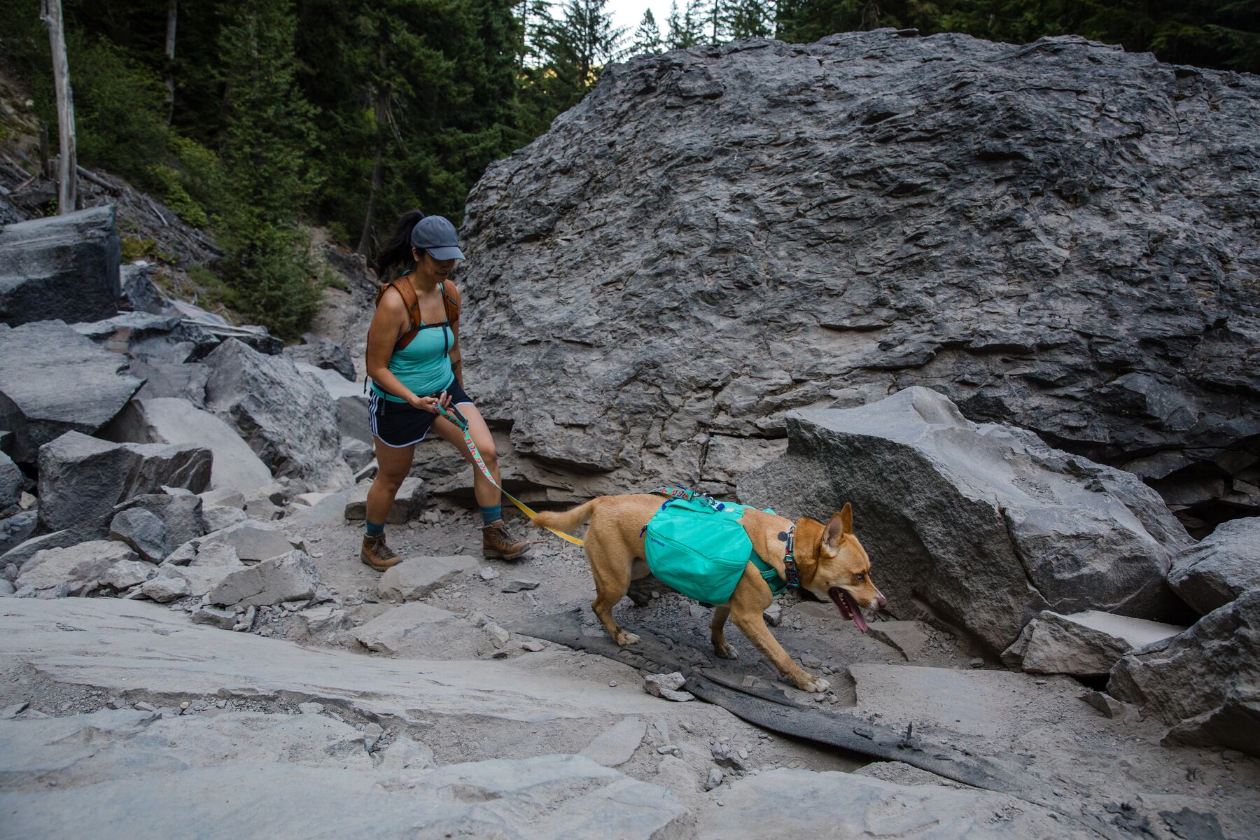 RuffWear Front Range™ Day Pack Aurora Teal