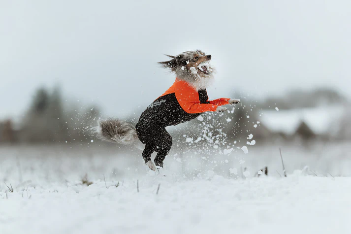 Non-stop dogwear Protector Suit orange/black