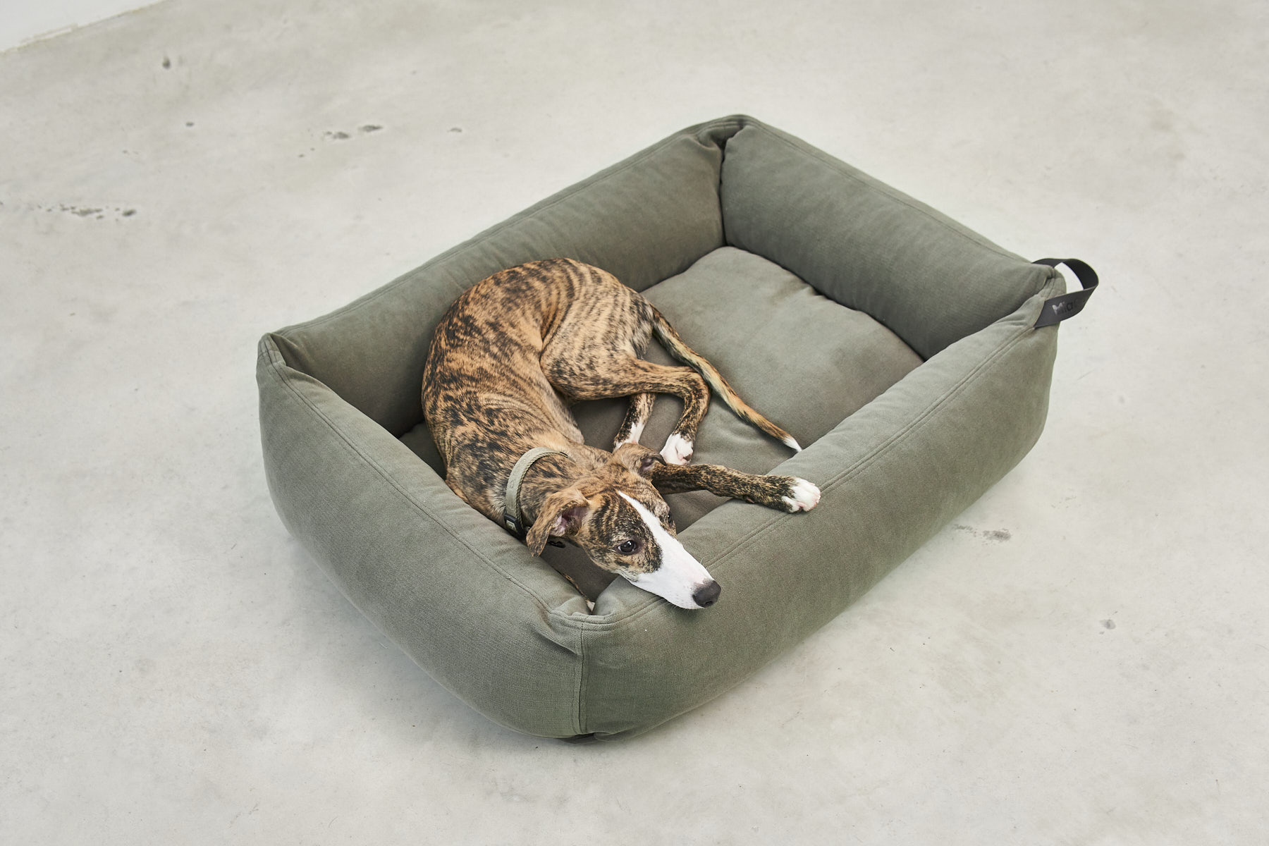 MiaCara Box-Bett Comodo Salbei