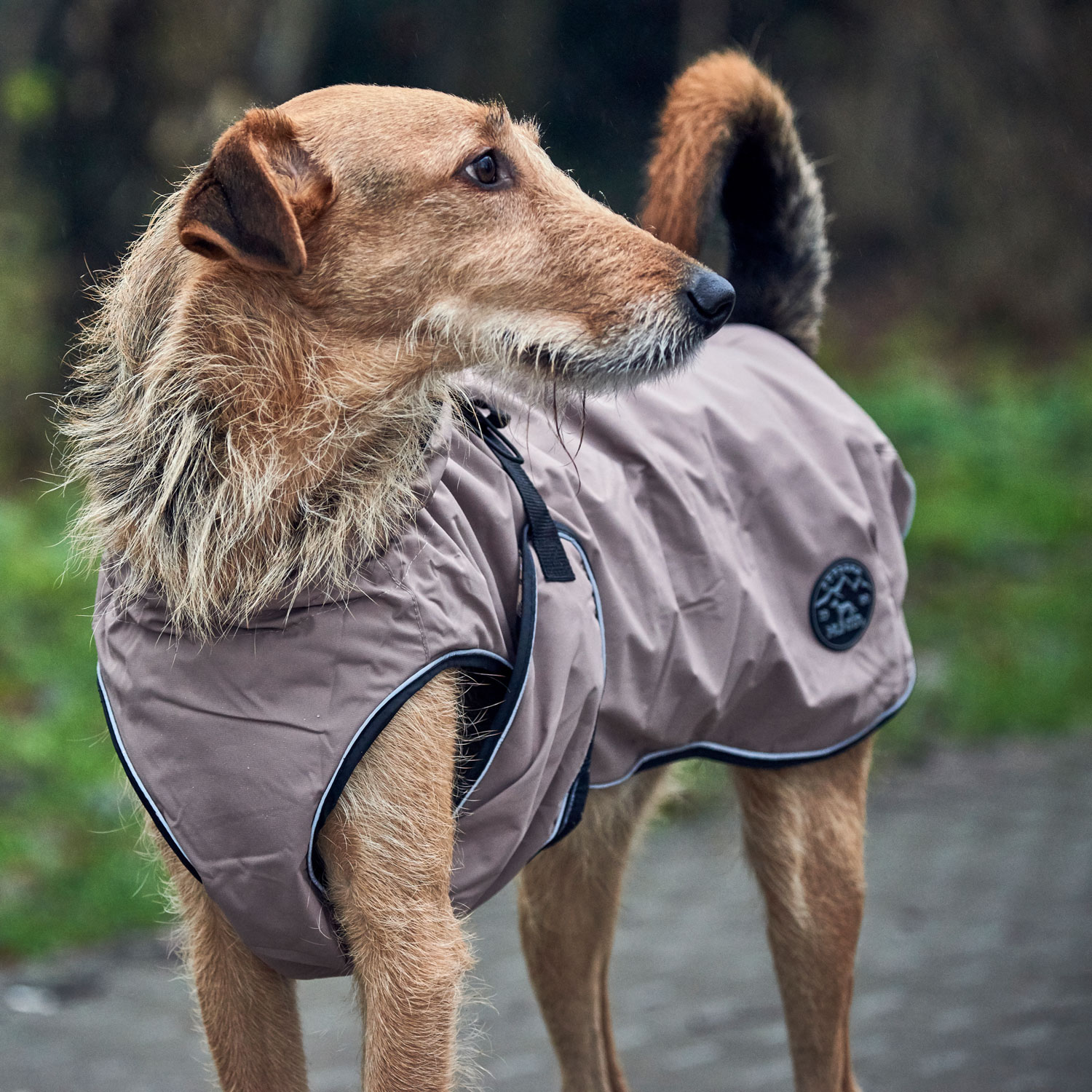 Hunter Hundemantel Uppsala, wasserabweisend, reflektierend