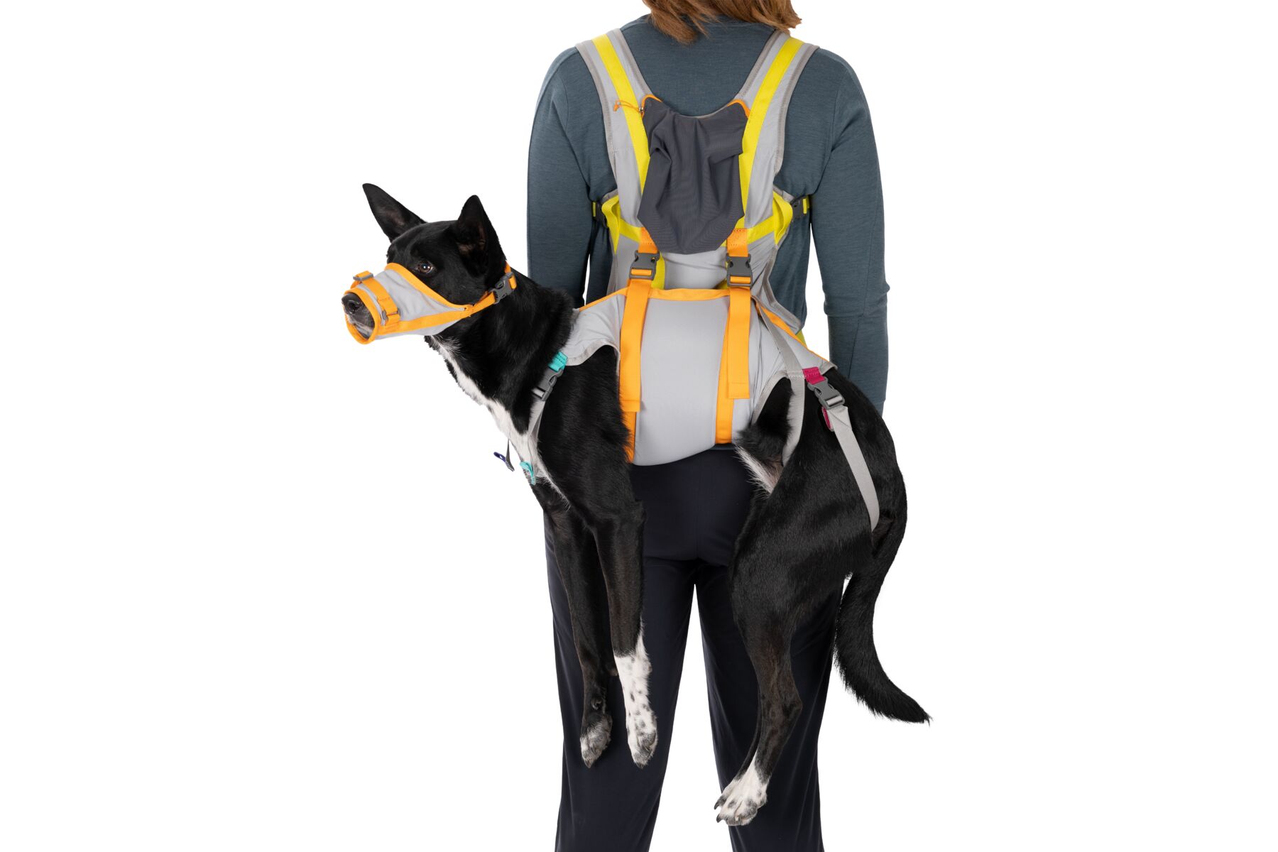 Ruffwear BackTrak™ Dog Evacuation Kit Cloudburst Gray Ruffwear BackTrak™ Dog Evacuation Kit Cloudburst Gray