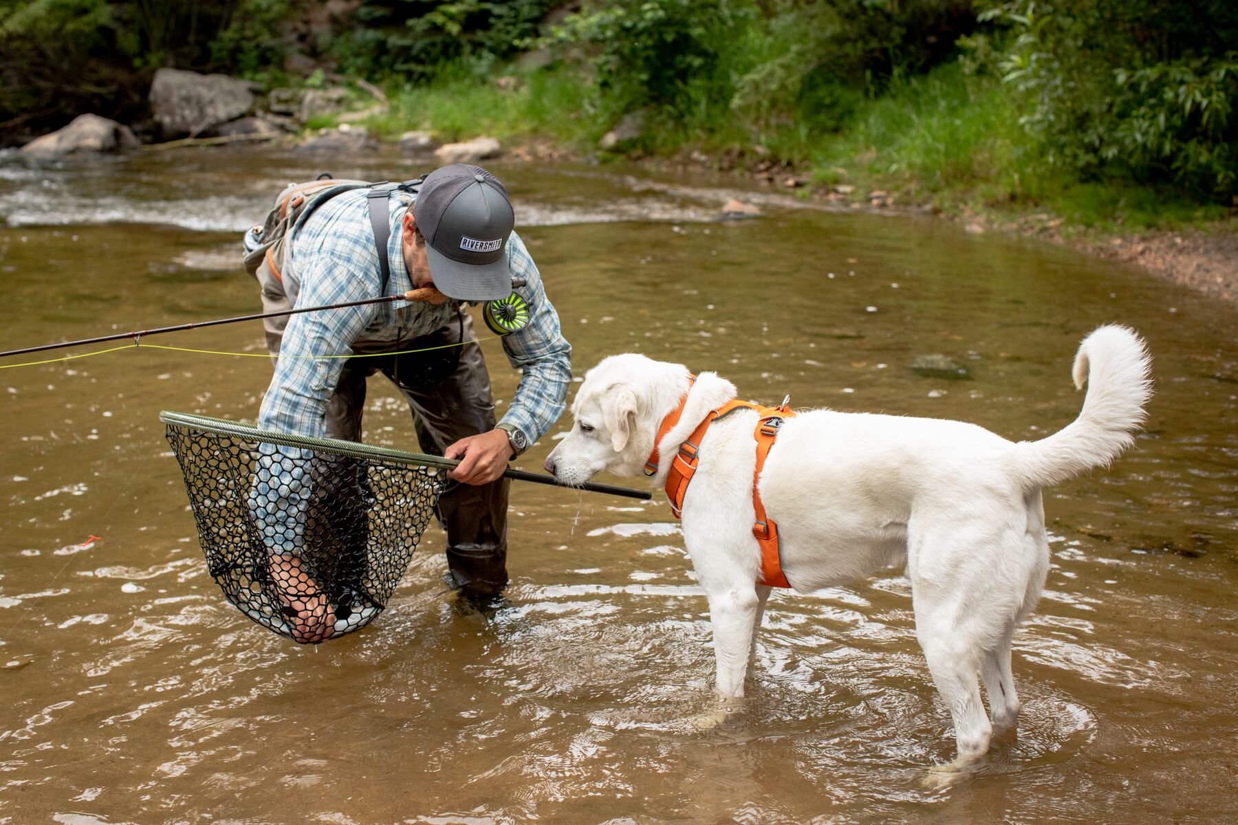 Ruffwear Front Range Collar