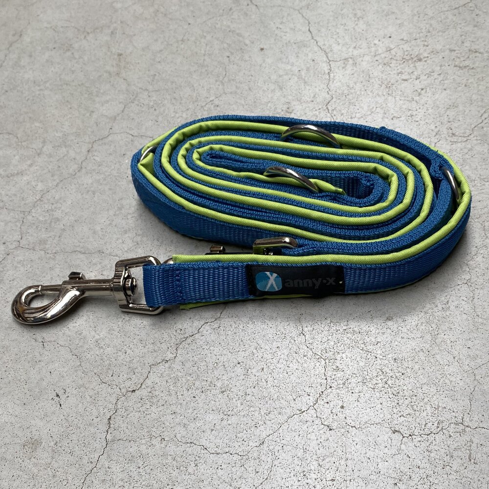 annyx Führleine Bolt Fun Vergissmeinnicht (Limited Edition)