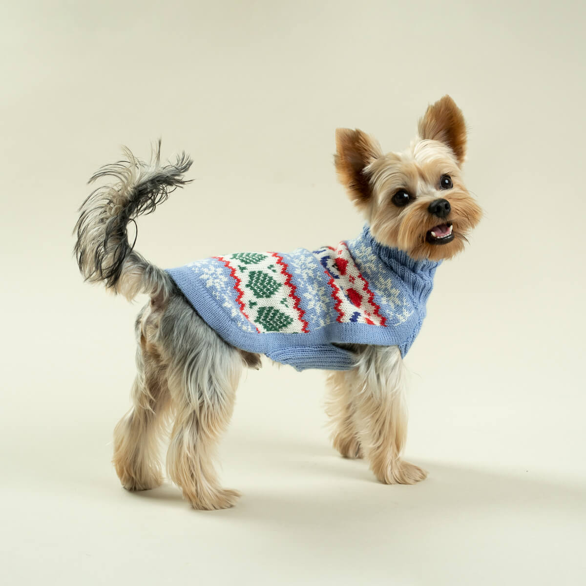 Alqo Wasi Hunde-Pullover Holiday Gnomes Light Blue