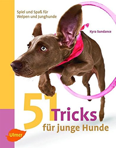 Ulmer - 51 Tricks für junge Hunde. Spiel und Spaß für Welpen und Junghunde [Kyra Sundance]