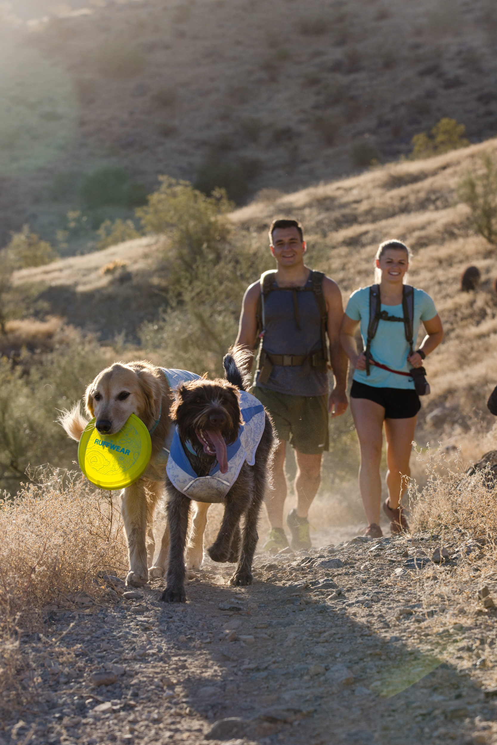 RuffWear Swamp Cooler Vest Heliotrope Purple