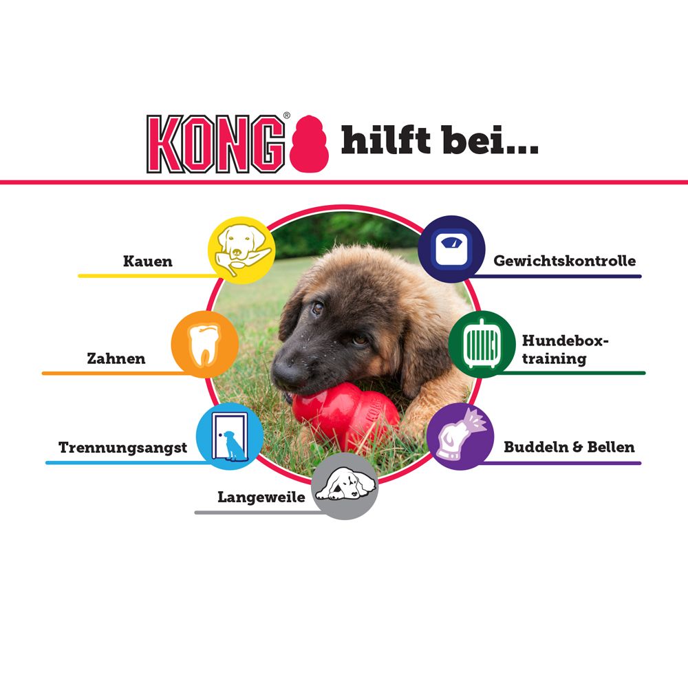 KONG Hundespielzeug Senior, zahnpflegend