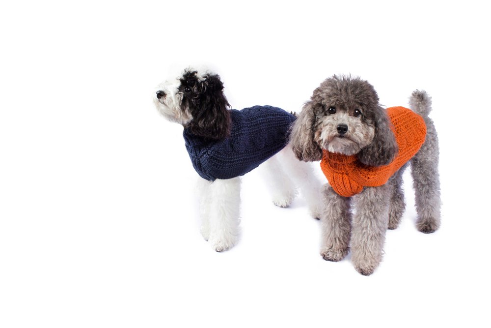 Alqo Wasi Hunde-Pullover Chunky Cable Knit Orange