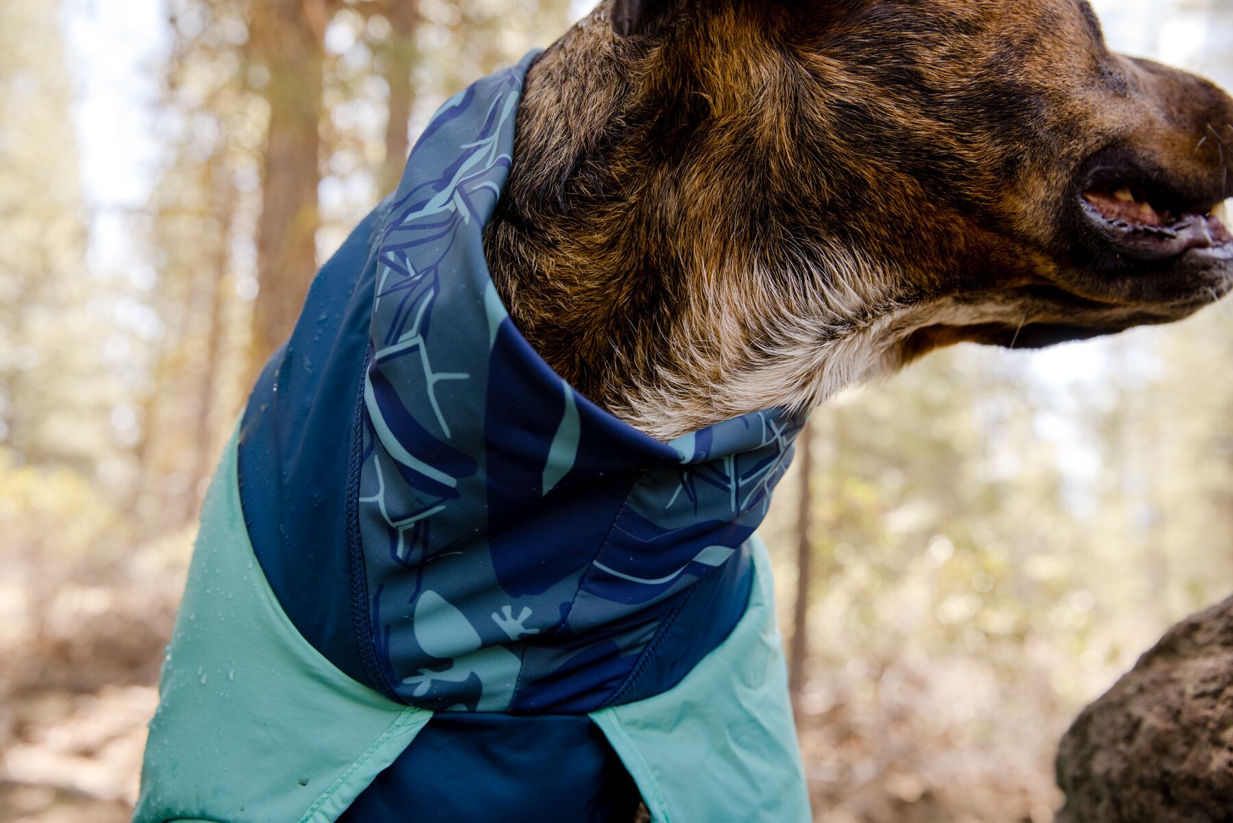 RuffWear Dirtbag™ Dog Towel Aurora Teal RuffWear Dirtbag™ Dog Towel Aurora Teal