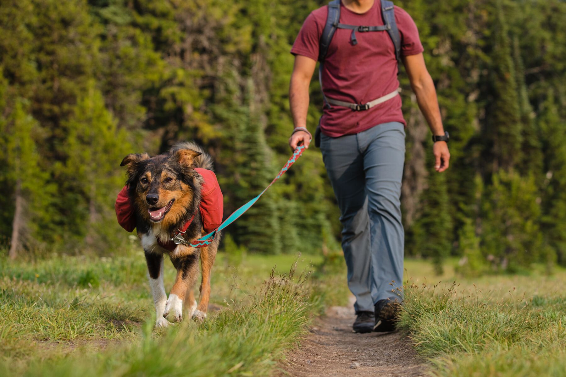 RuffWear Front Range™ Day Pack Red Clay