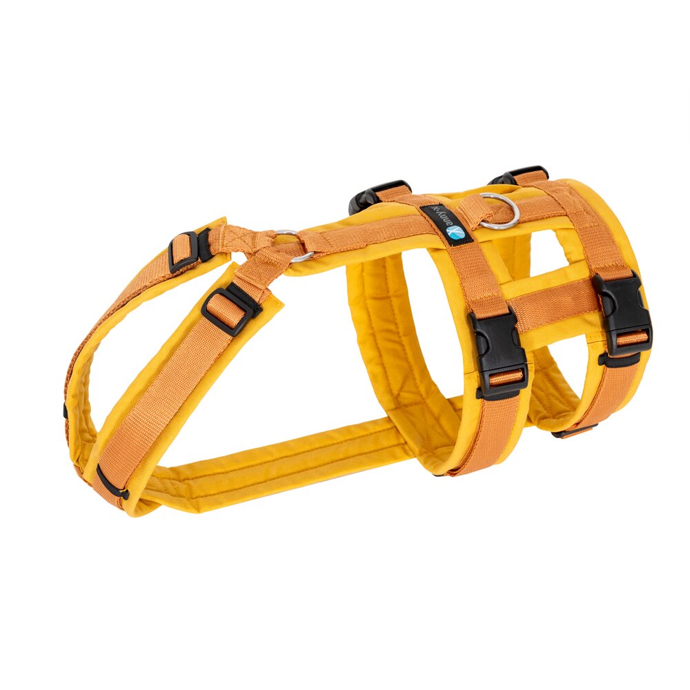 annyx Geschirr Safety Goldglöckchen