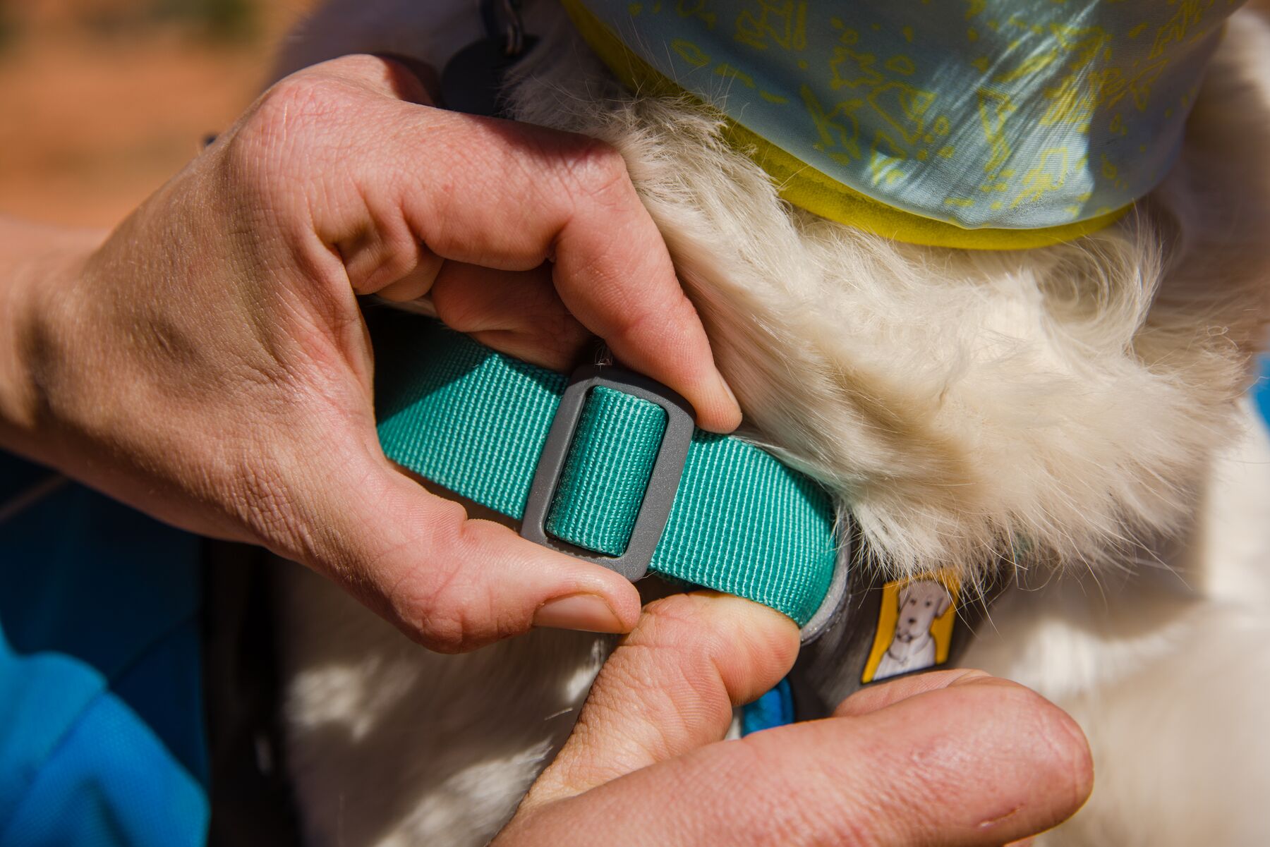 RuffWear Approach™ Pack Blue Dusk