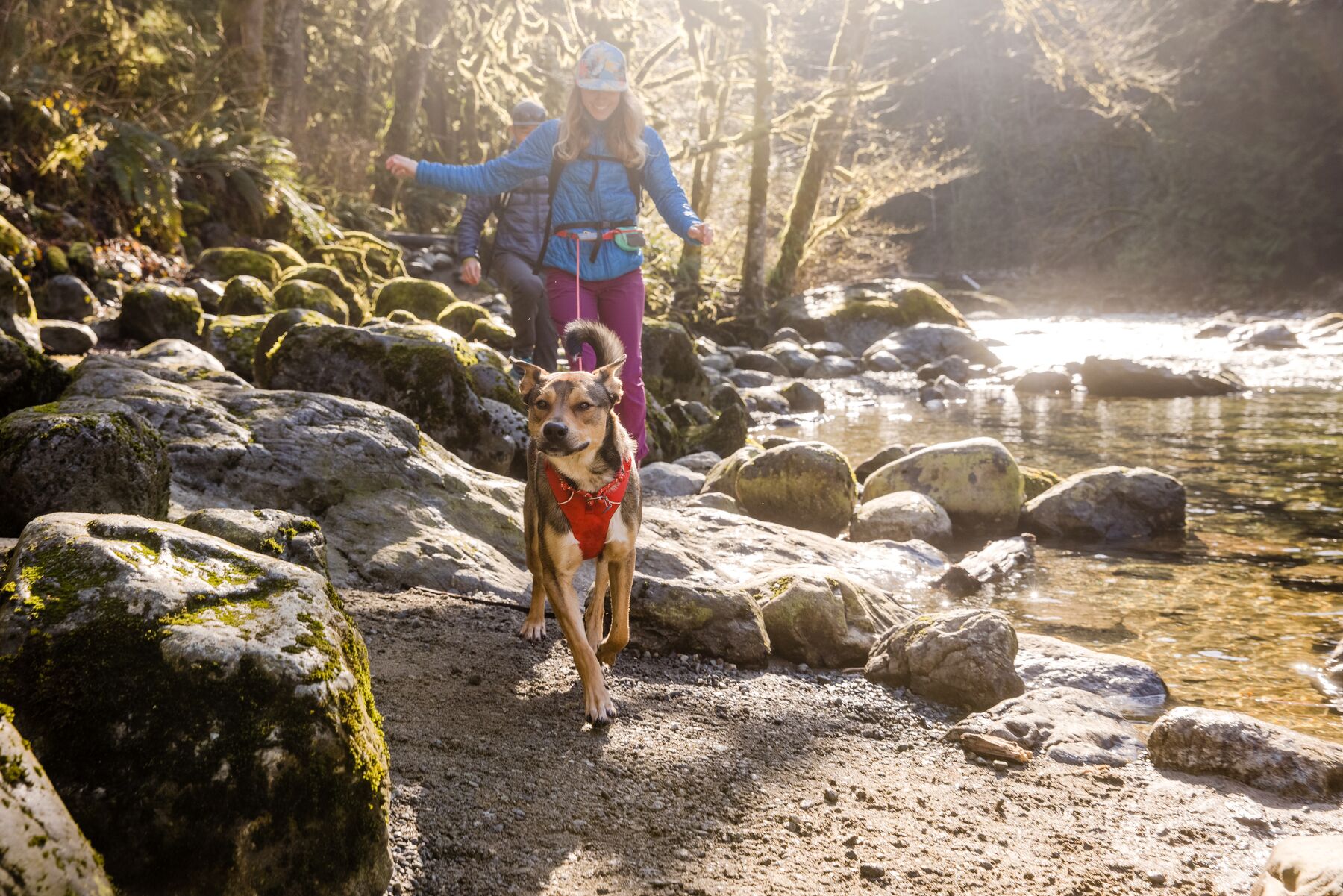 Ruffwear Front Range Harness Red Sumac Ruffwear Front Range Harness Red Sumac