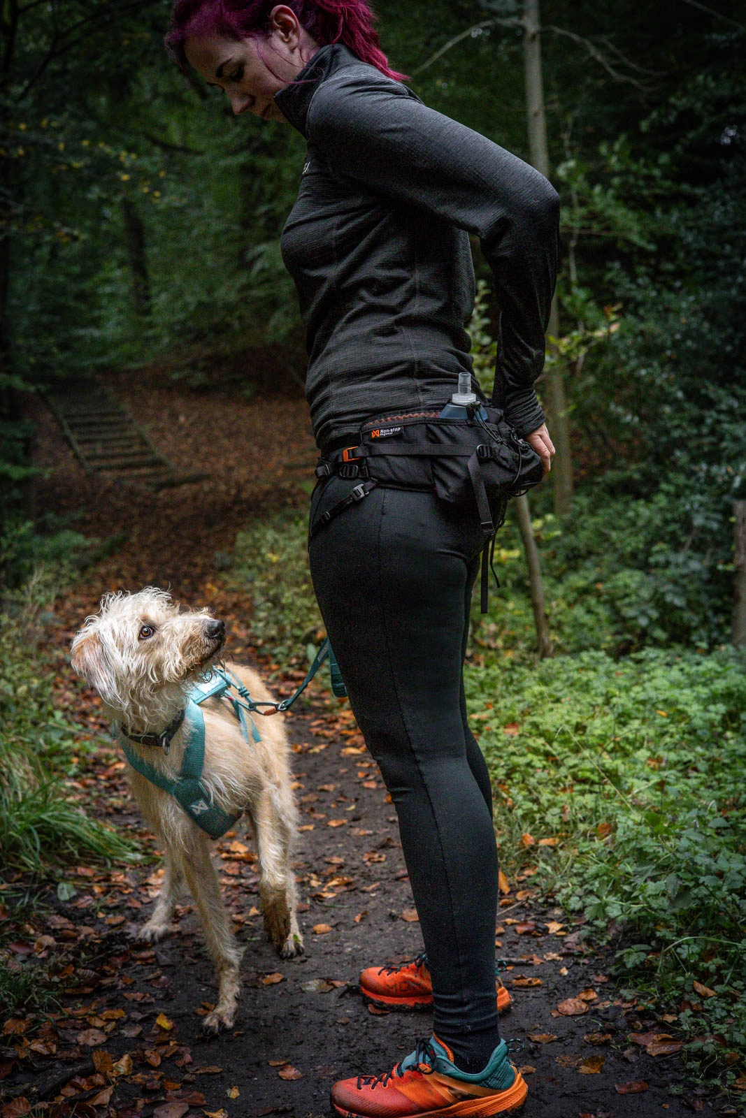Non-stop dogwear Trail Light Belt