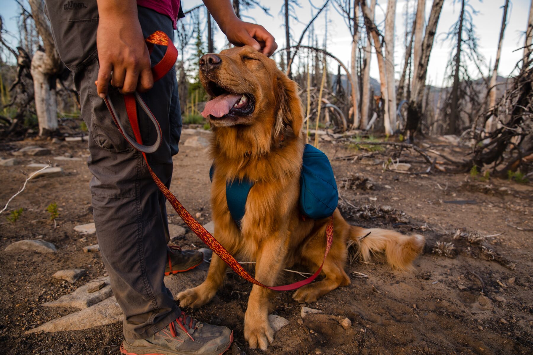 RuffWear Front Range™ Day Pack Blue Moon