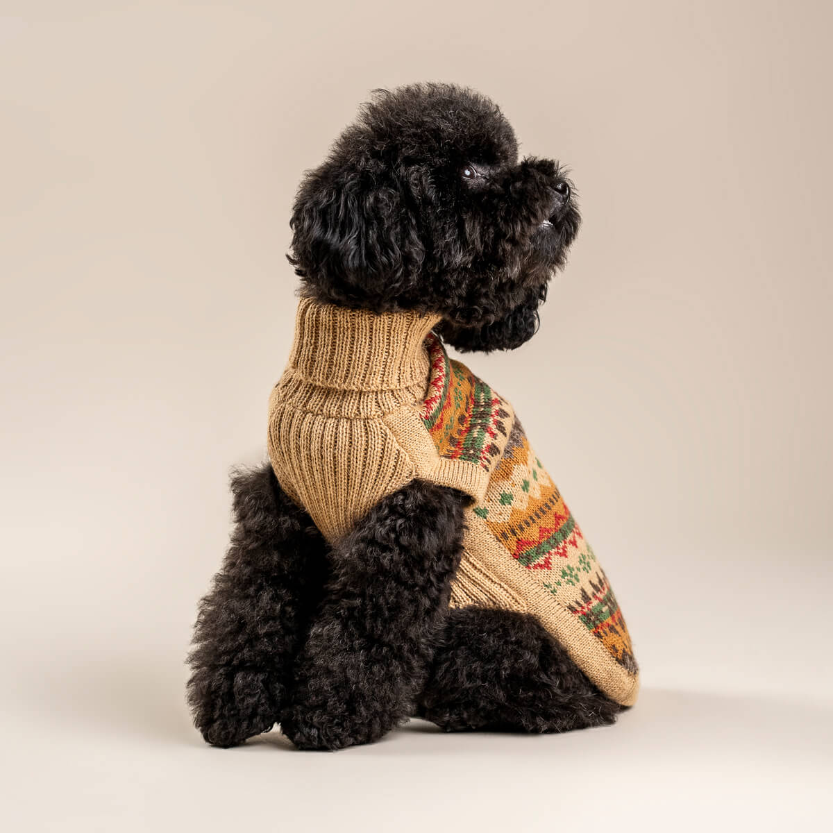 Alqo Wasi Hunde-Pullover Fair Isle Finn