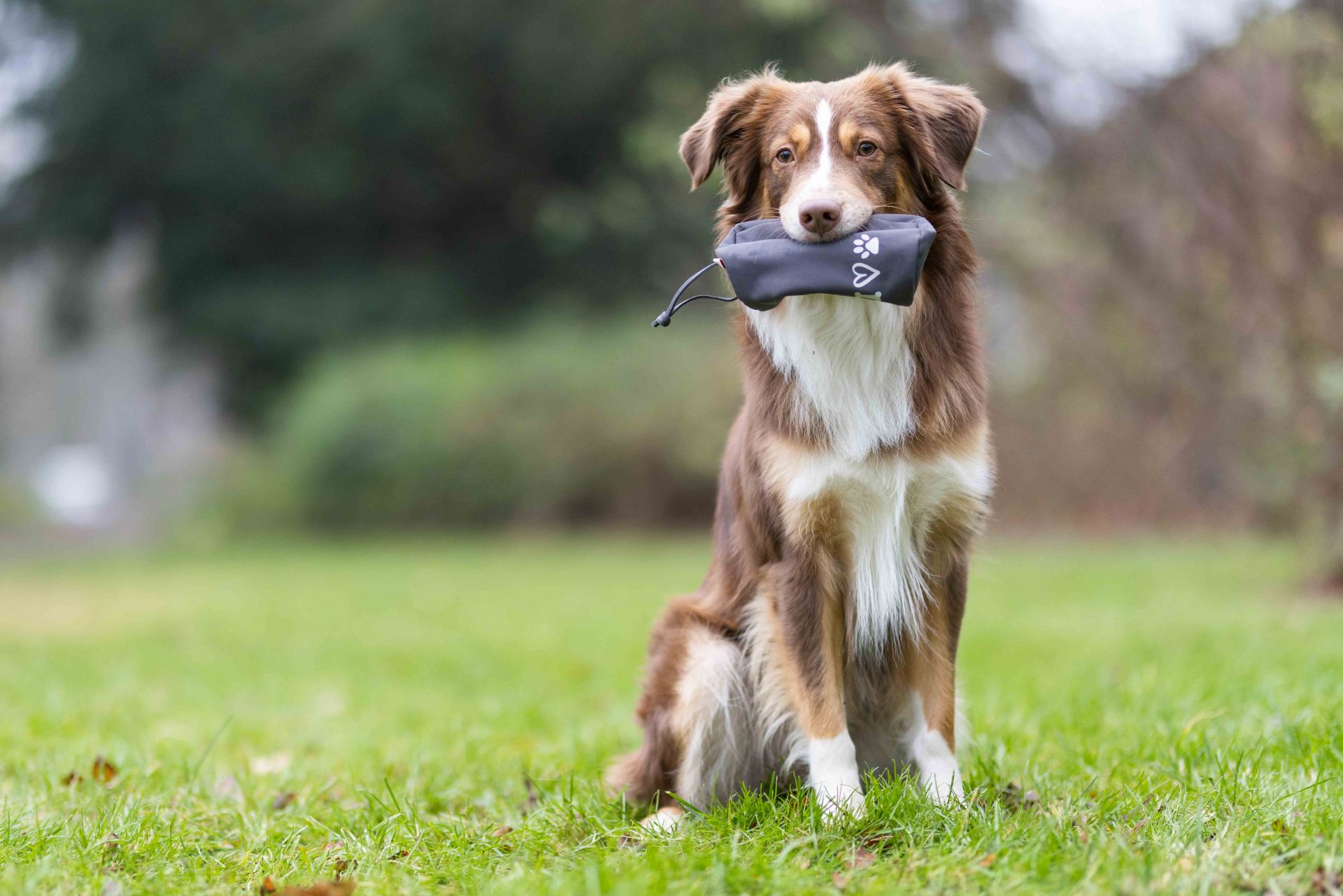 Wolters Adventure Dummy