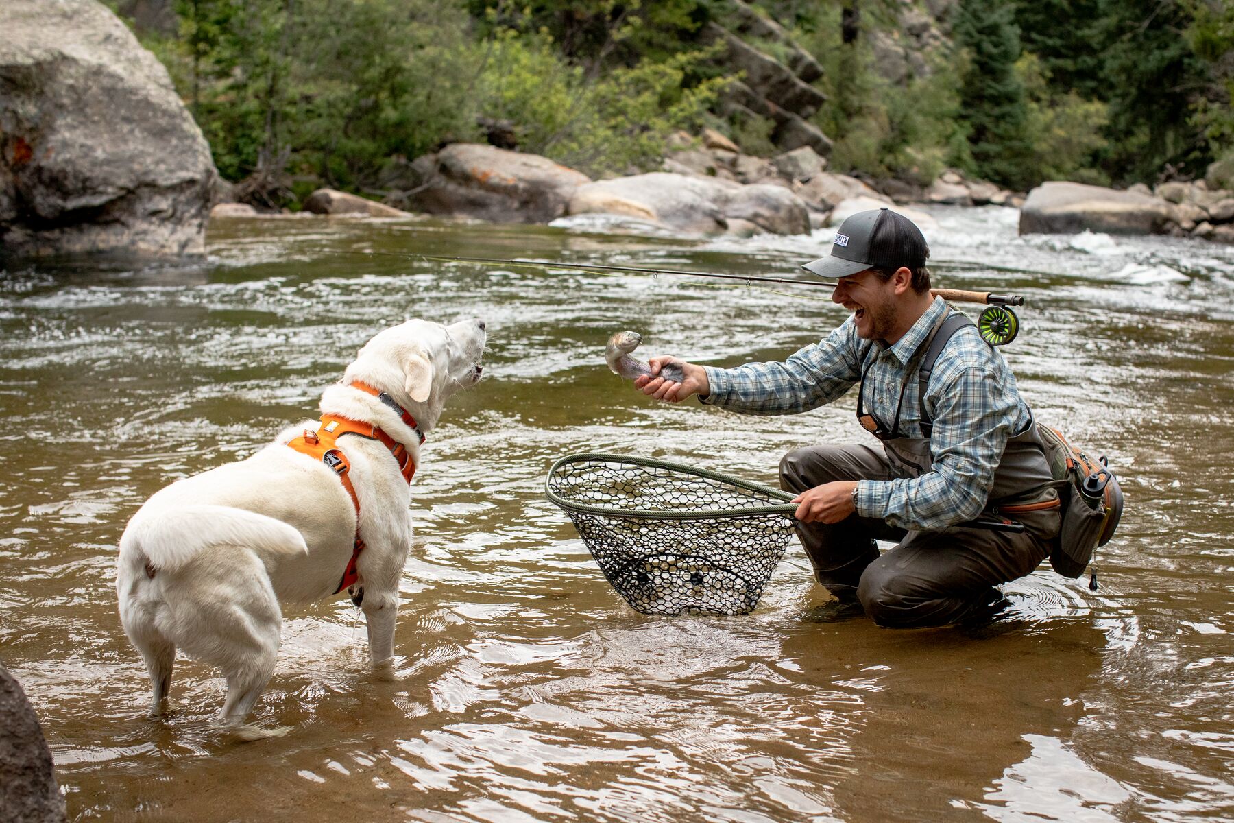 Ruffwear Front Range Collar