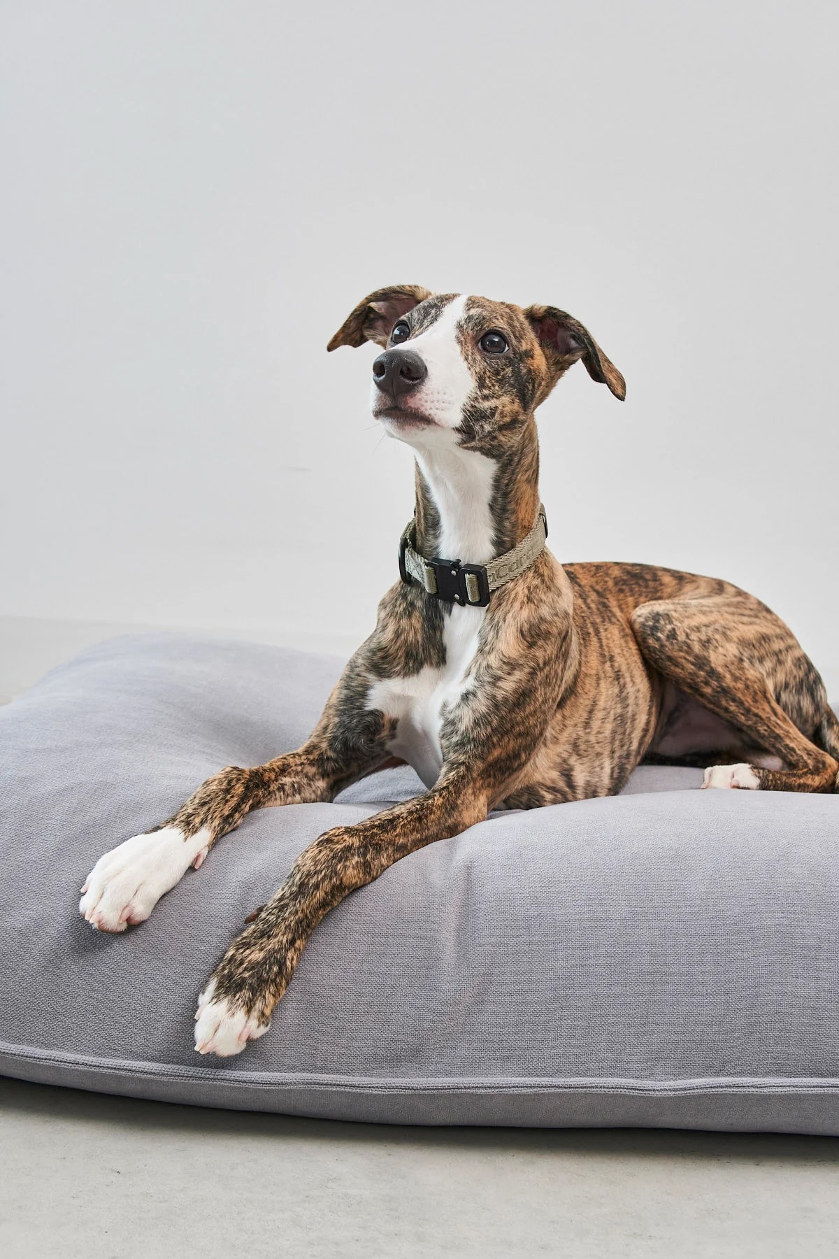 MiaCara Hundekissen Comodo Schiefer