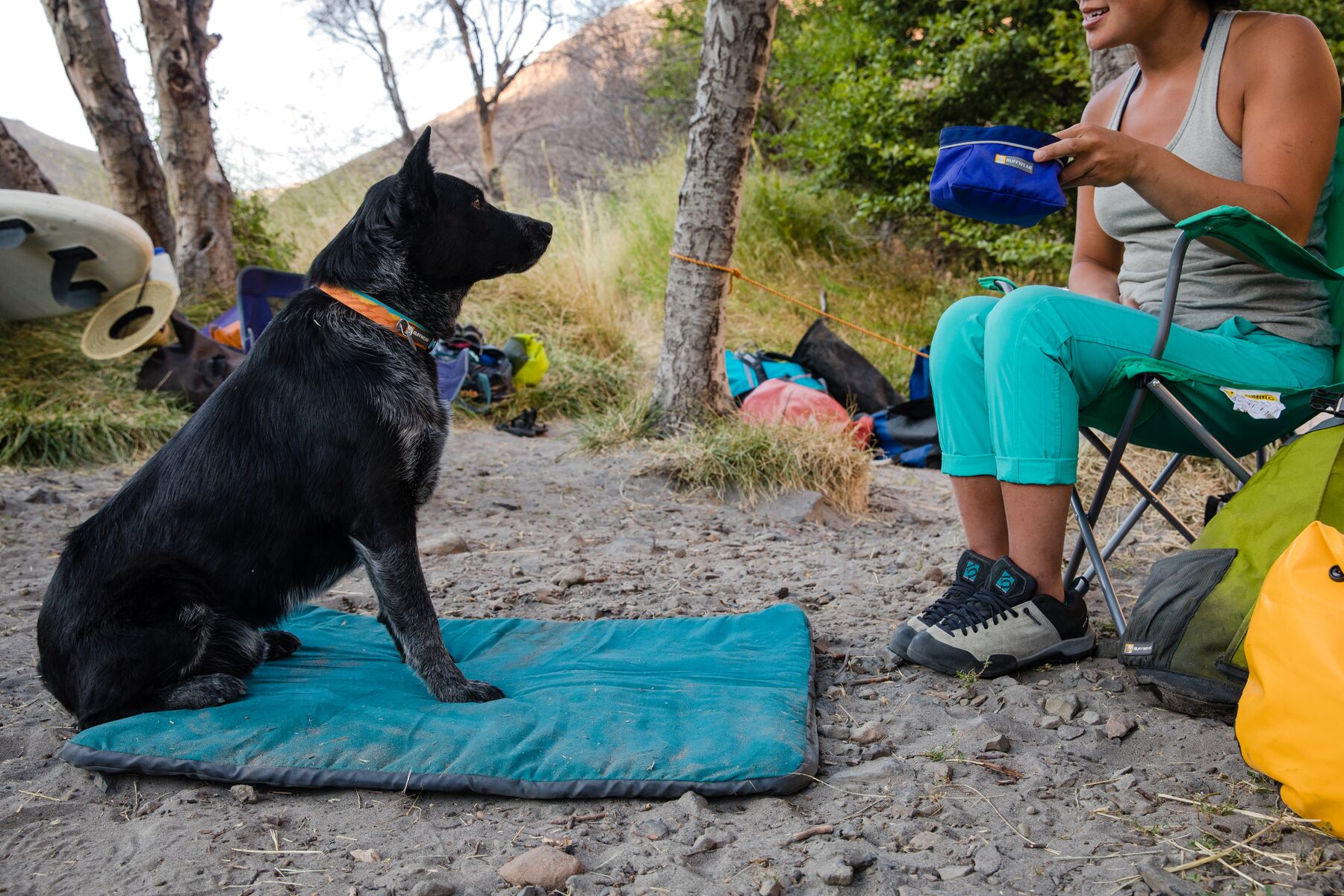 RuffWear Flat Out™ Collar