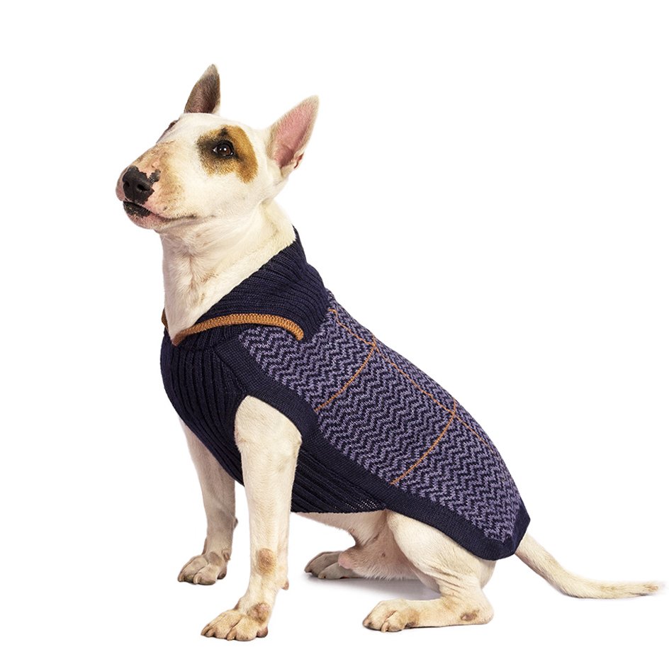 Alqo Wasi Hunde-Pullover Preppy Blue