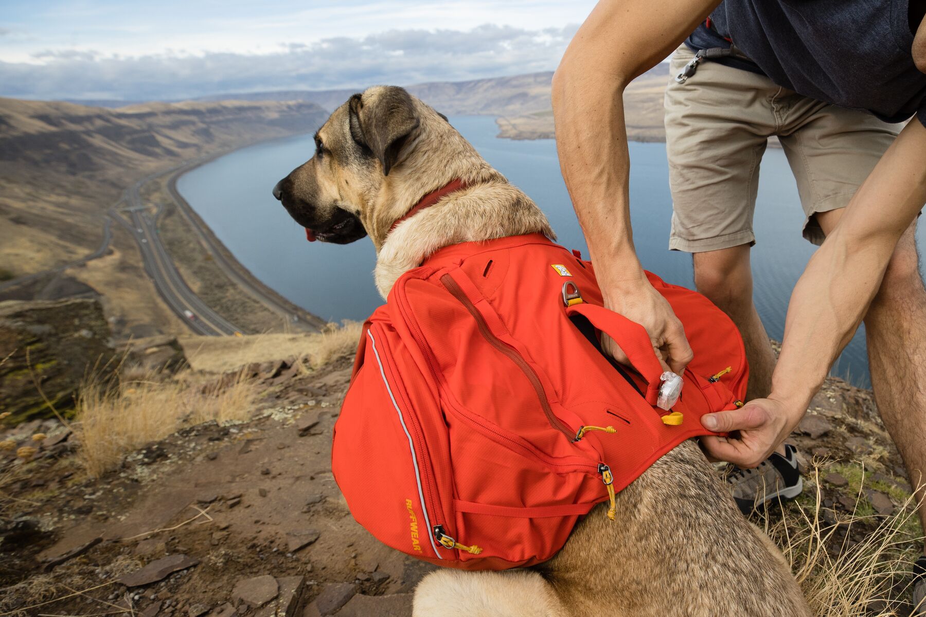 Ruffwear Palisades Pack Red Sumac Ruffwear Palisades Pack Red Sumac