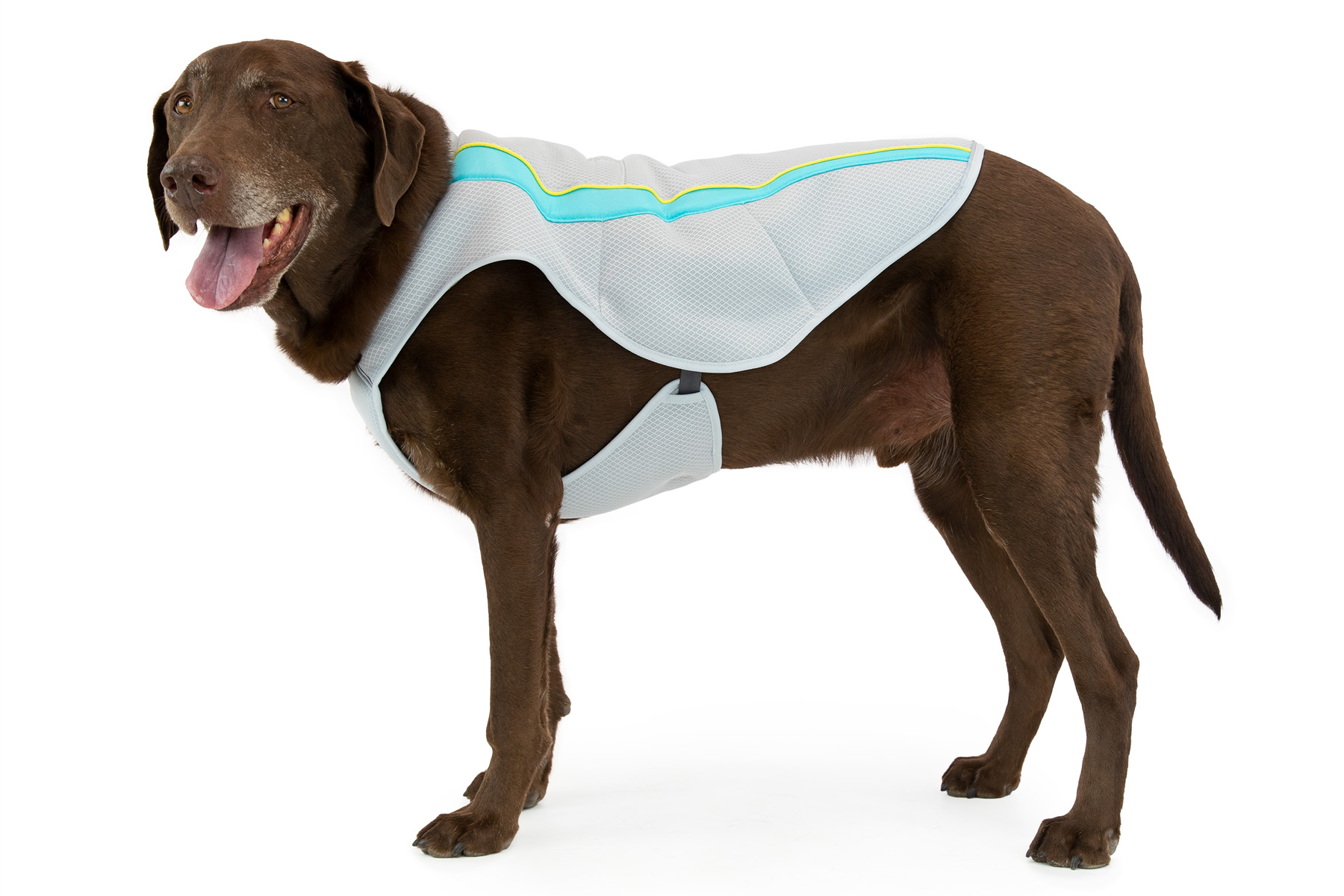 Ruffwear Swamp Cooler Cooling Vest Graphite Gray Ruffwear Swamp Cooler Cooling Vest Graphite Gray