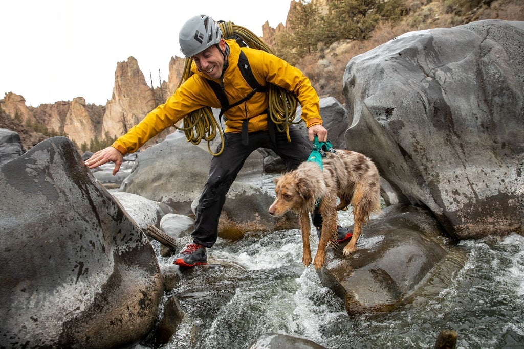 Ruffwear Flagline Harness Meltwater Teal