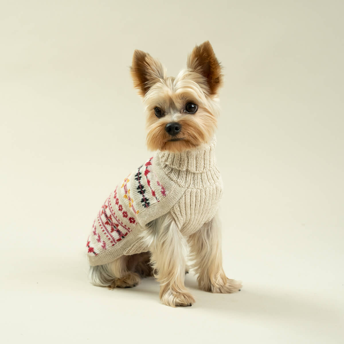 Alqo Wasi Hunde-Pullover Aurora