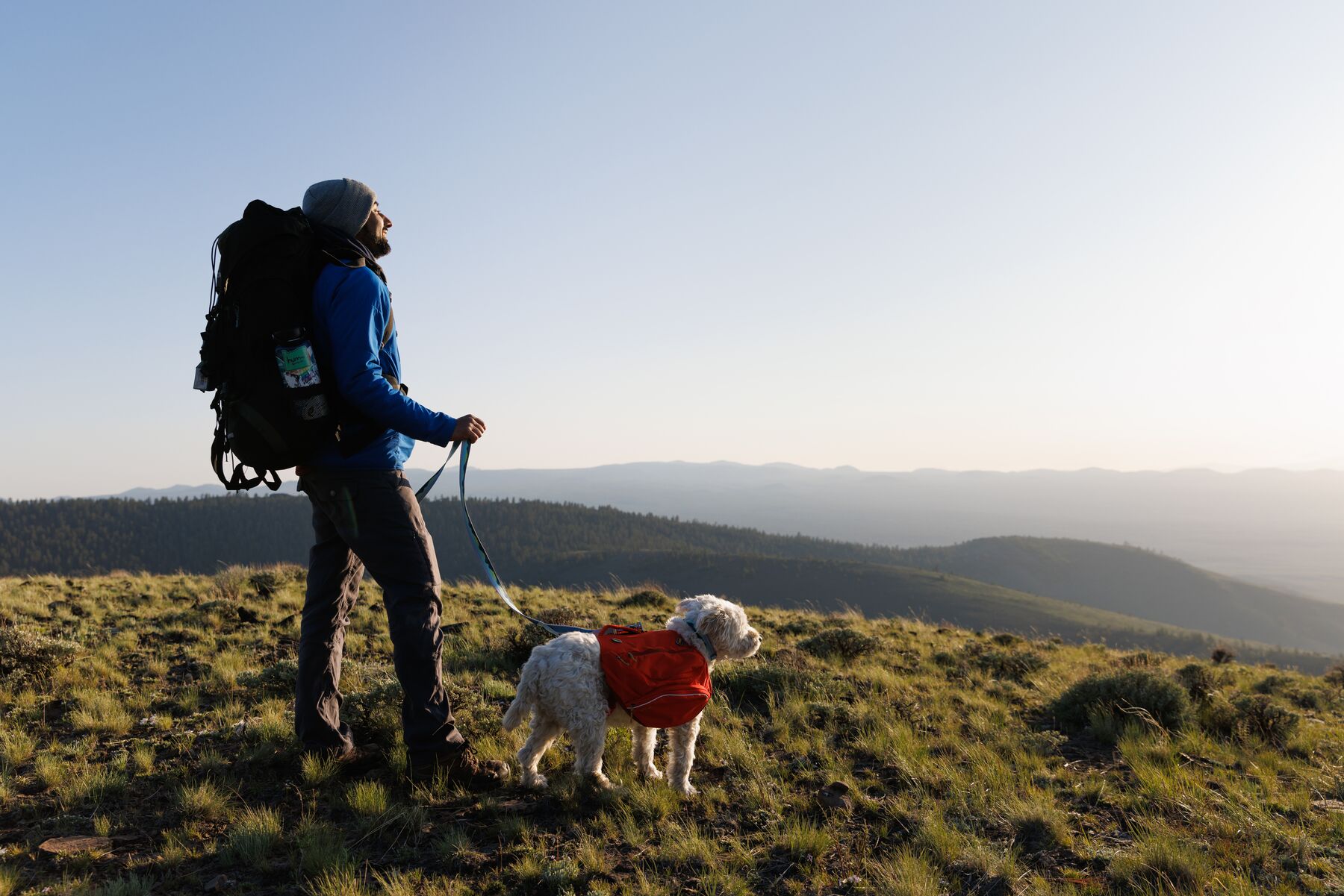 Ruffwear Palisades Pack Red Sumac Ruffwear Palisades Pack Red Sumac