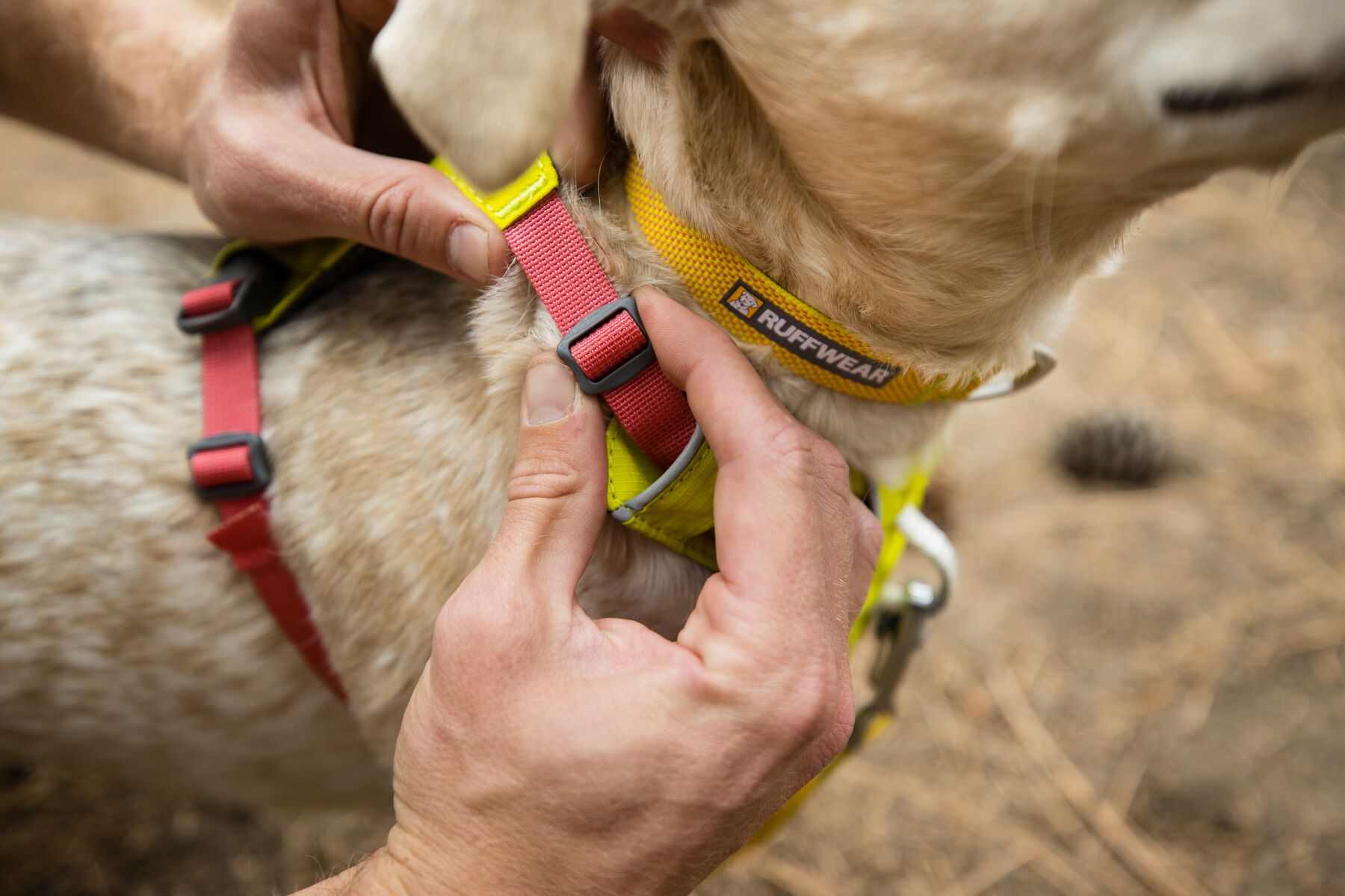 RuffWear Hi & Light™ Harness Lichen Green