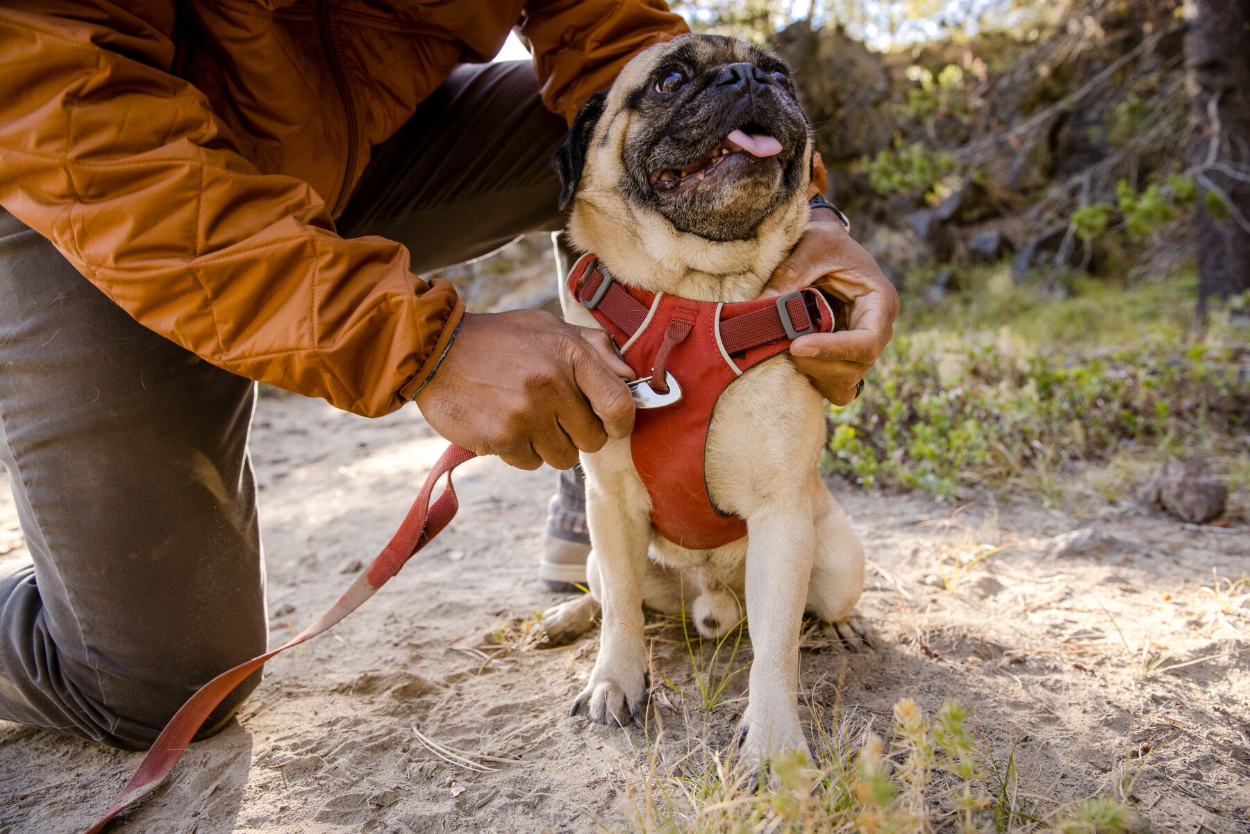 RuffWear Front Range® Harness Red Clay