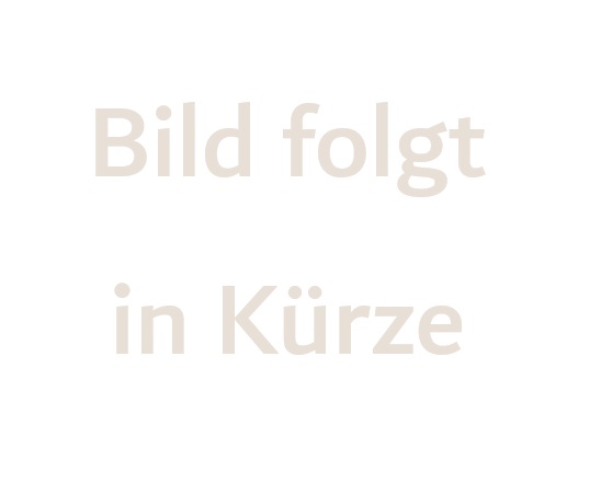 Fido Tag Herz