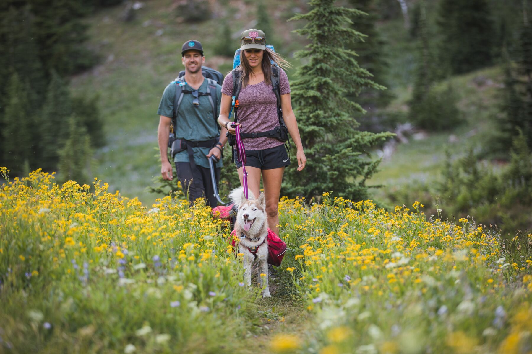 Ruffwear Palisades Pack Red Currant