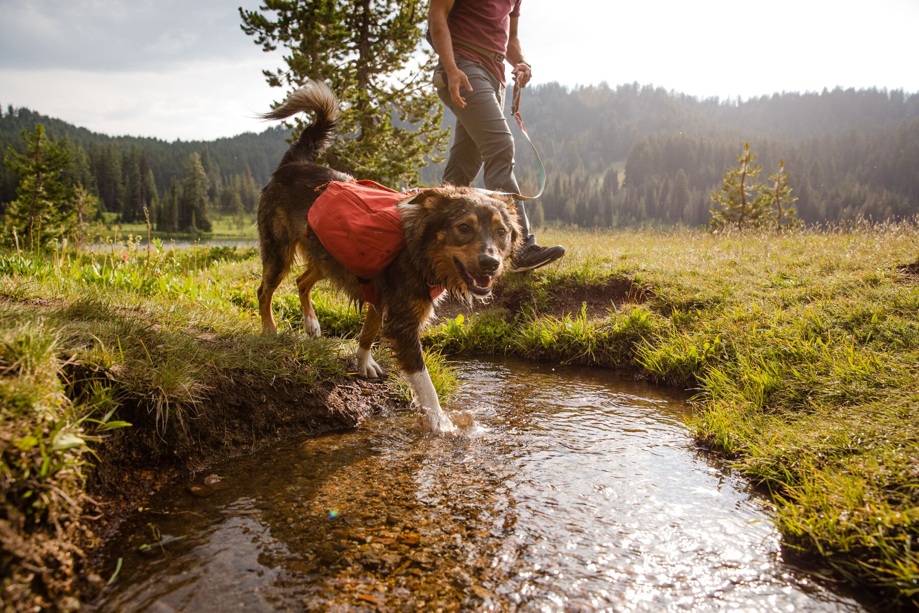 RuffWear Front Range™ Day Pack Red Clay