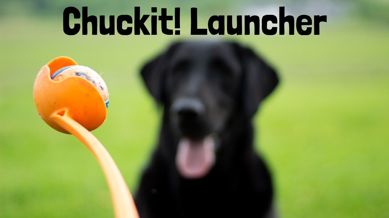 Chuckit Sport Ball Launcher