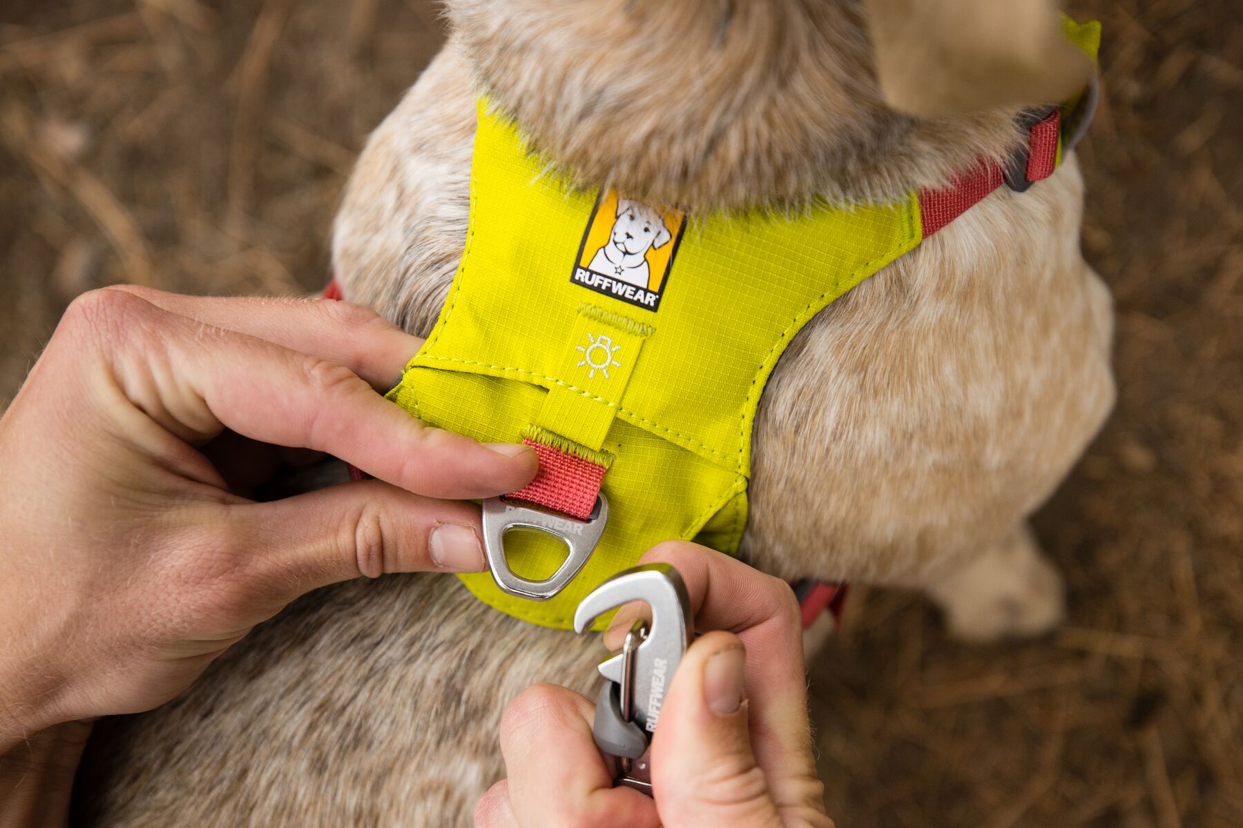 RuffWear Hi & Light™ Harness Lichen Green RuffWear Hi & Light™ Harness Lichen Green
