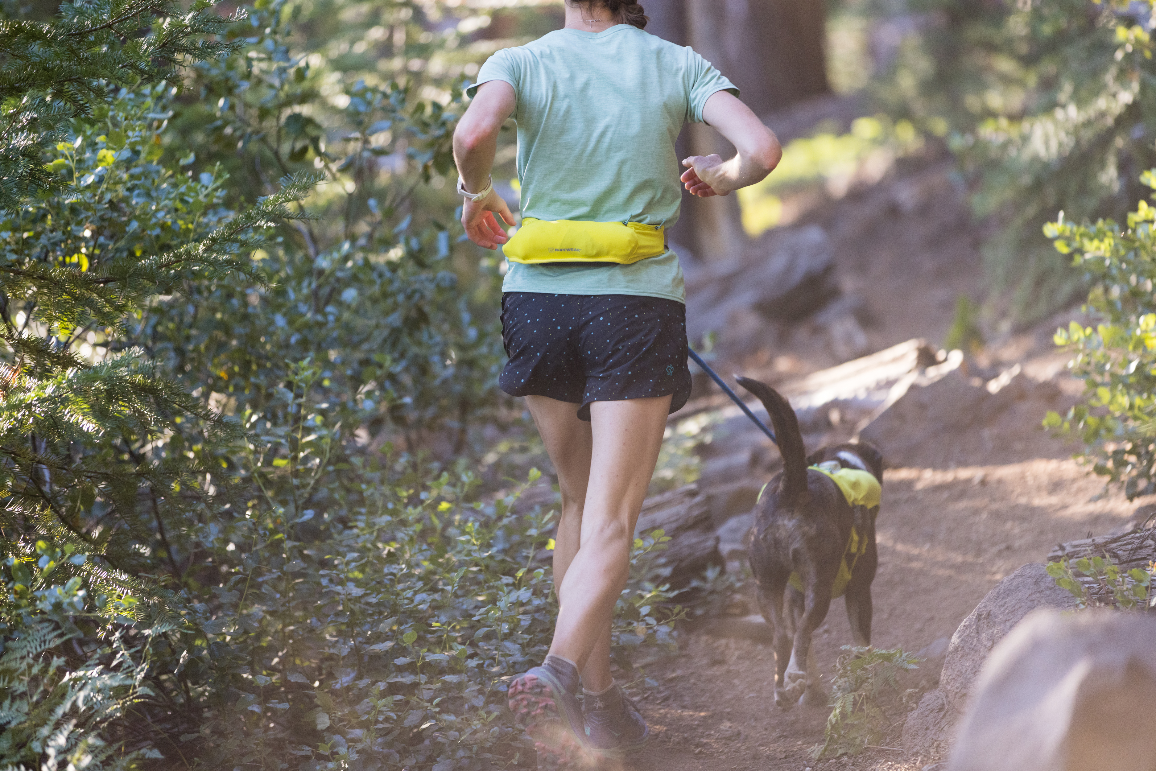 Ruffwear Trail Runner™ Belt Lichen Green