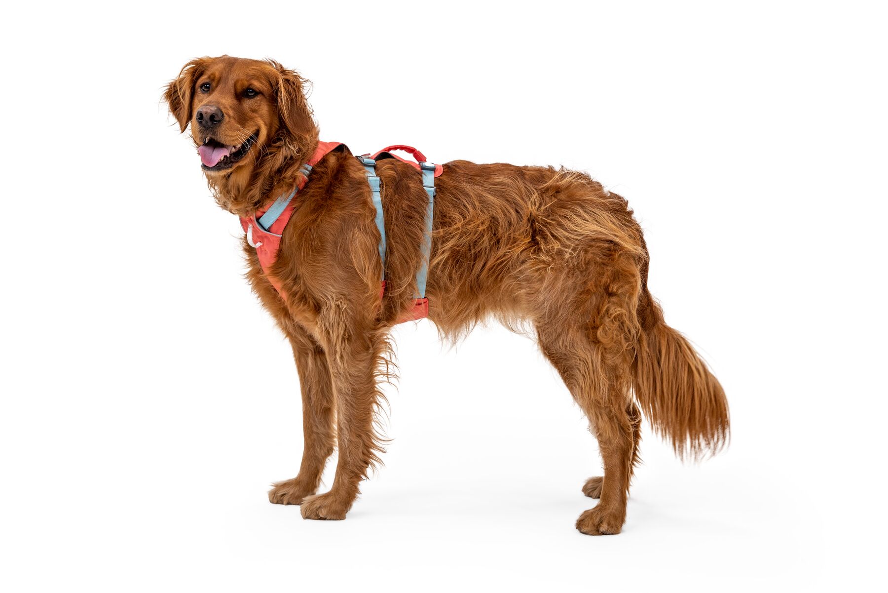 RuffWear Flagline™ Harness Salmon Pink