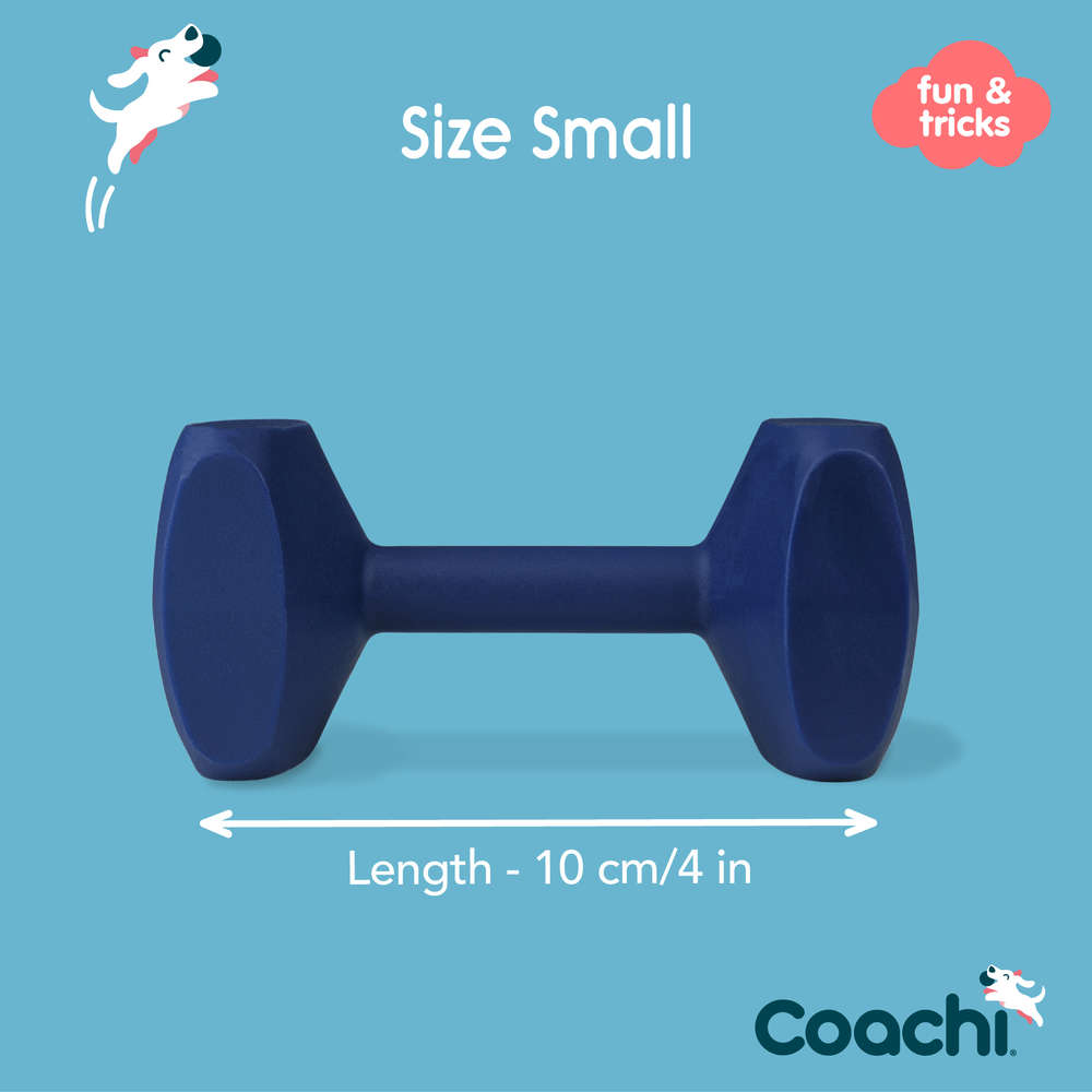 CoA Coachi Training Apportl Navy Small