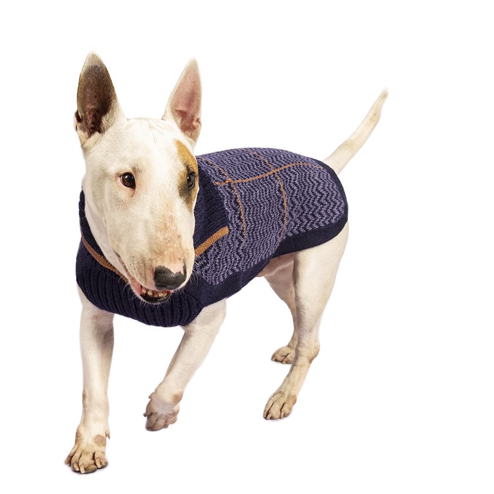 Alqo Wasi Hunde-Pullover Preppy Blue