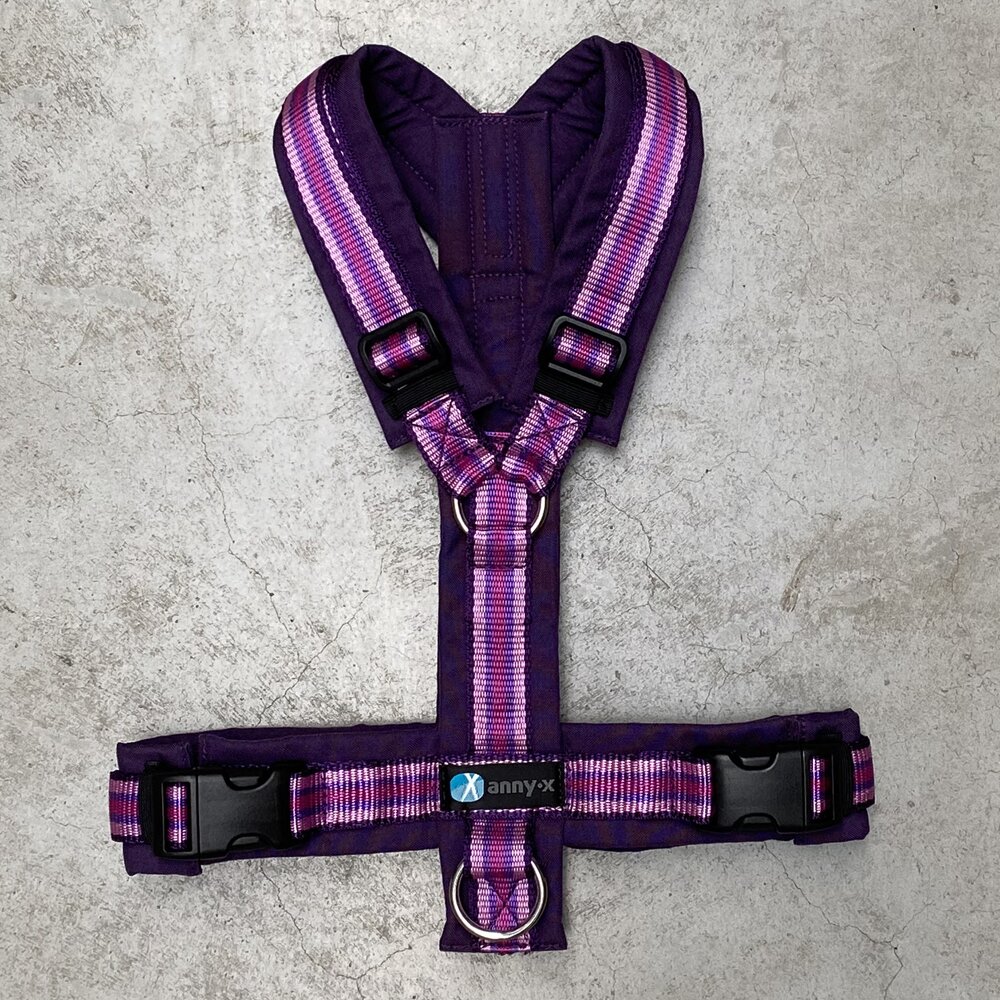 annyx Geschirr Fun Wildflieder (Limited Edition)