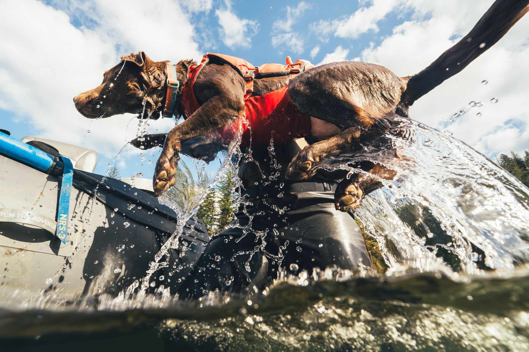 Ruffwear Confluence™ Support Jacket Tangelo Orange Ruffwear Confluence™ Support Jacket Tangelo Orange