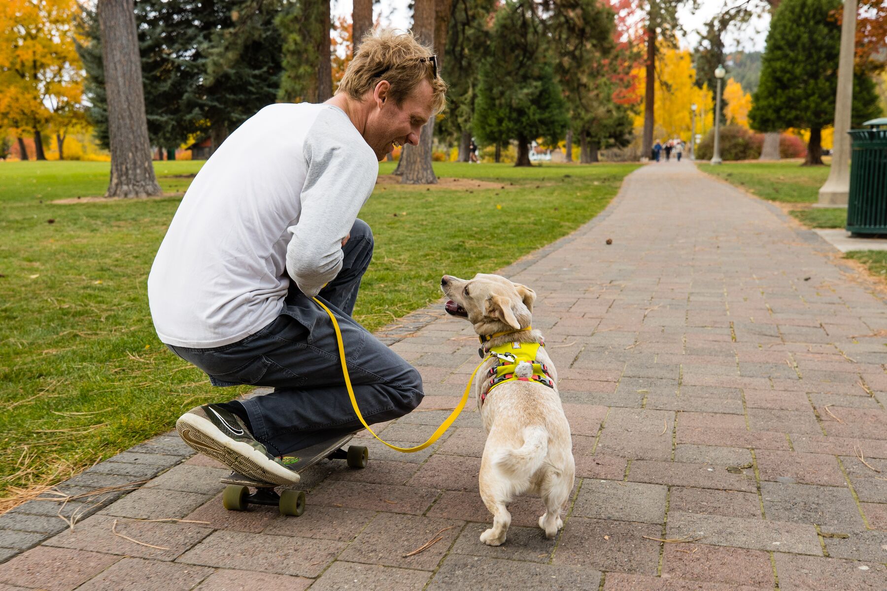 RuffWear Flagline™ Harness Lichen Green