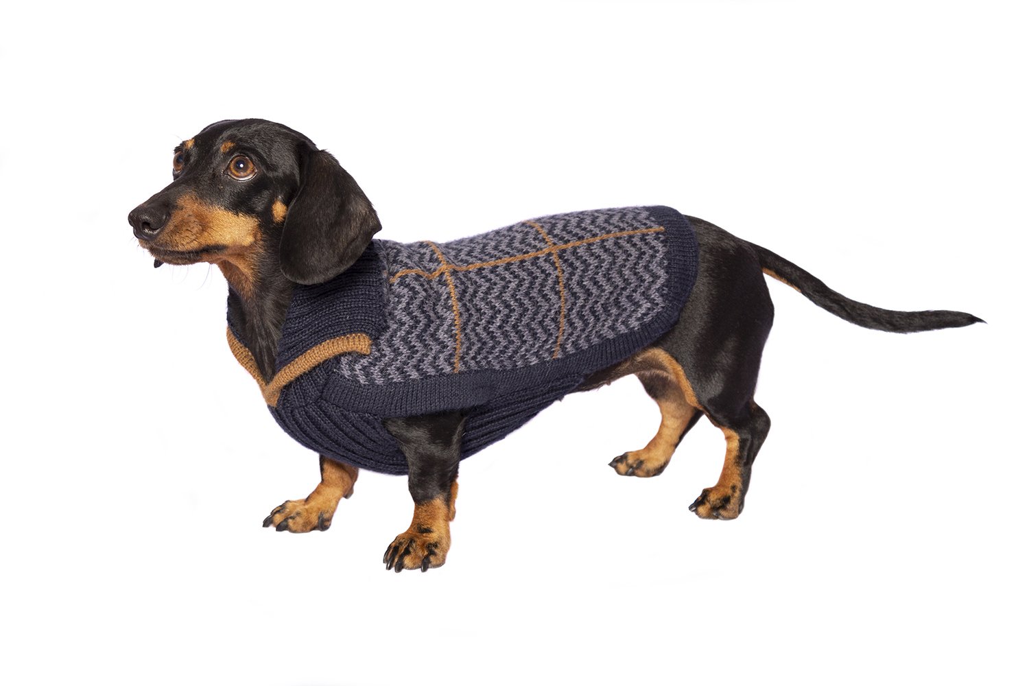 Alqo Wasi Hunde-Pullover Preppy Blue