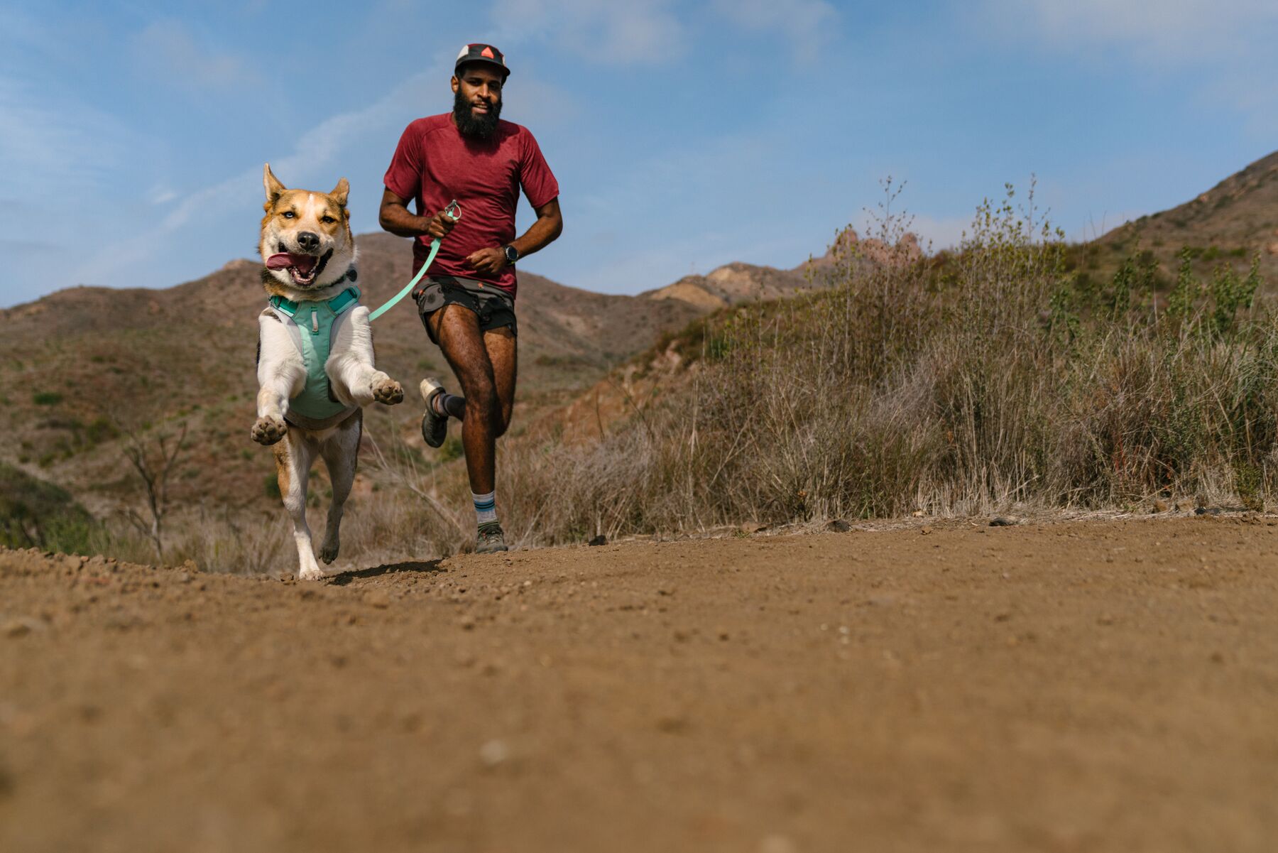 RuffWear Hi & Light™ Harness Sage Green