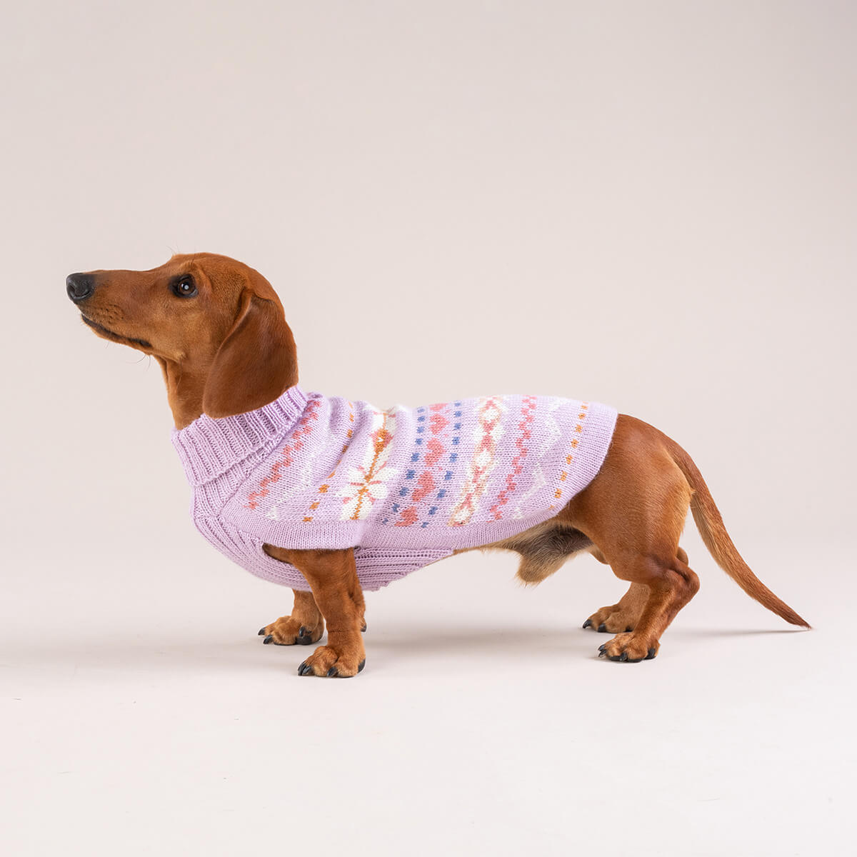 Alqo Wasi Hunde-Pullover Lavender Sunrise